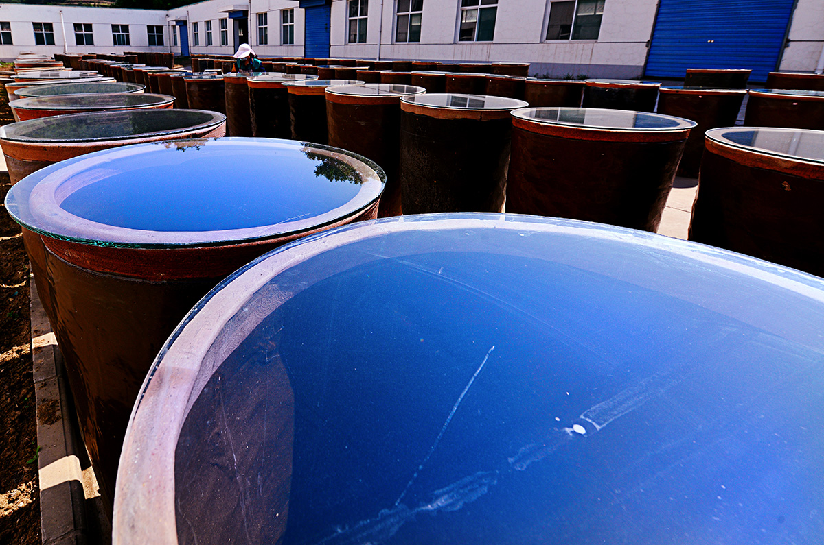 1650701811940899.jpg 7.jpg